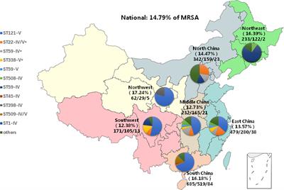 Antibiotic susceptibility and clonal distribution of Staphylococcus aureus from pediatric skin and soft tissue infections: 10-year trends in multicenter investigation in China